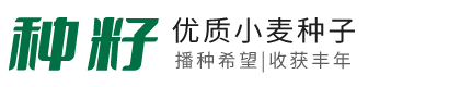山东种籽农贸有限公司